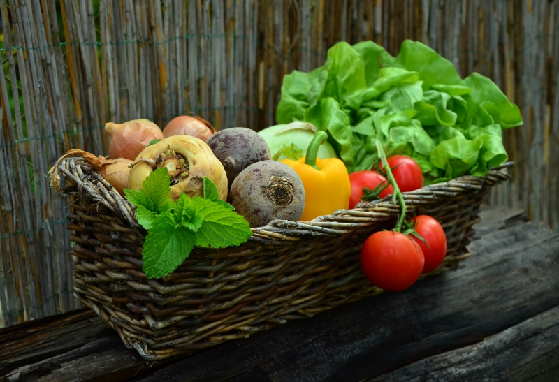traiteur-LA CELLE-min_plant-fruit-food-salad-harvest-produce-879579-pxhere.com